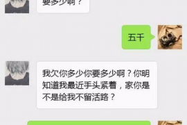 保定保定的要账公司在催收过程中的策略和技巧有哪些？